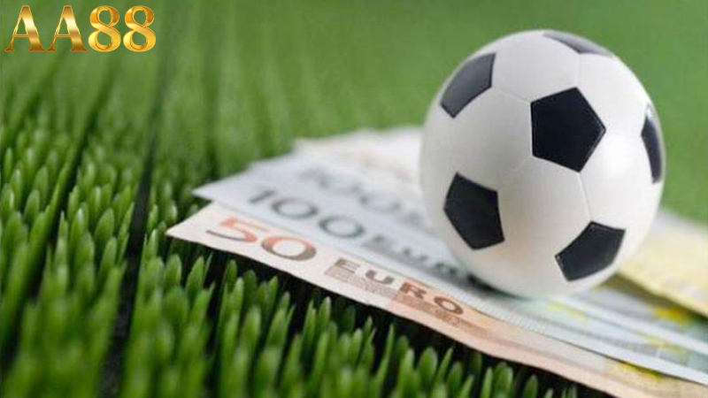 Các bước tham gia cá độ online