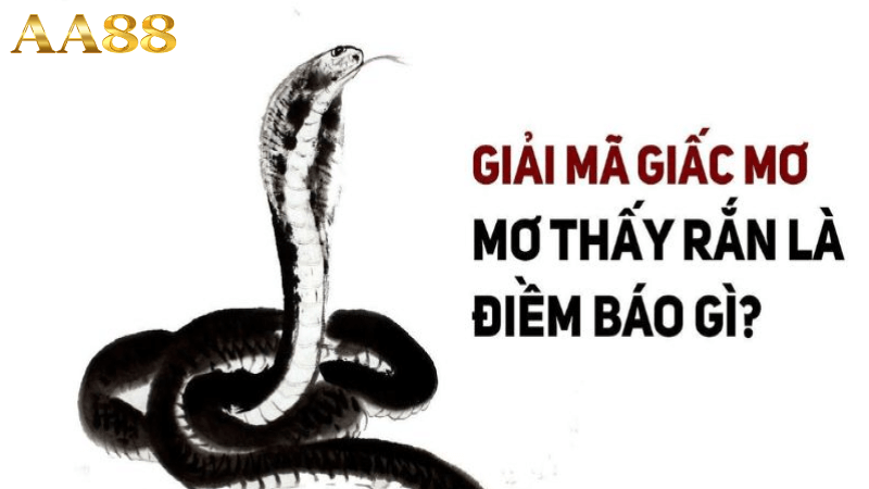 Giải mã giấc mơ thấy rắn làm điềm gì