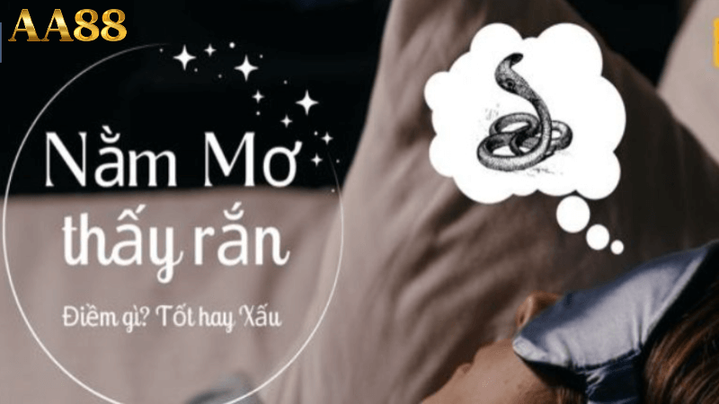 Điềm báo dự đoán về giấc chiêm bao thấy rắn