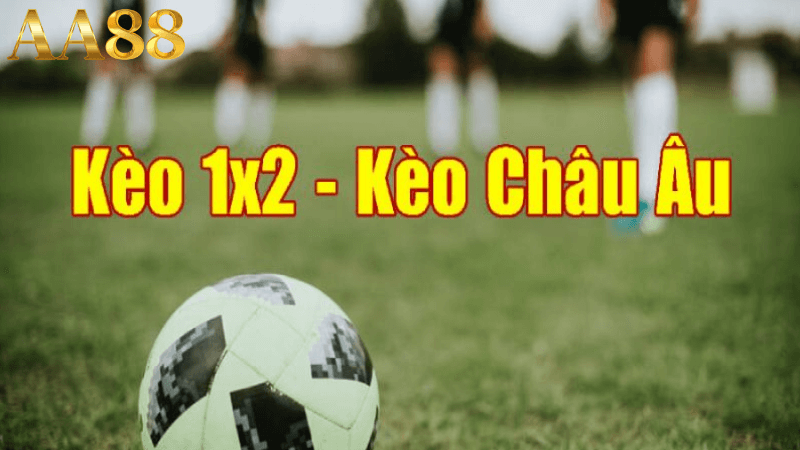 Tìm hiểu cách đọc kèo